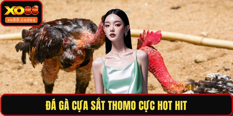 Đá gà cựa sắt Thomo cực hot hit