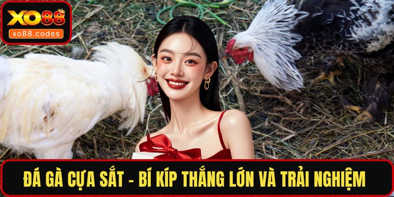 Đá gà cựa sắt