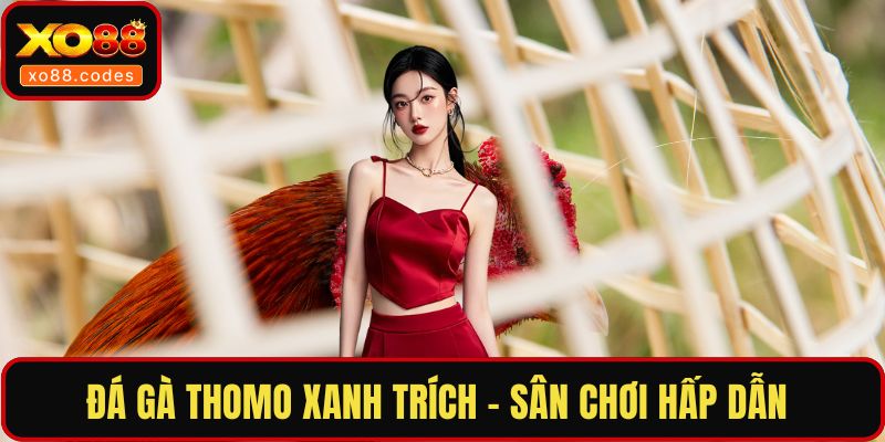 Đá gà thomo xanh trích