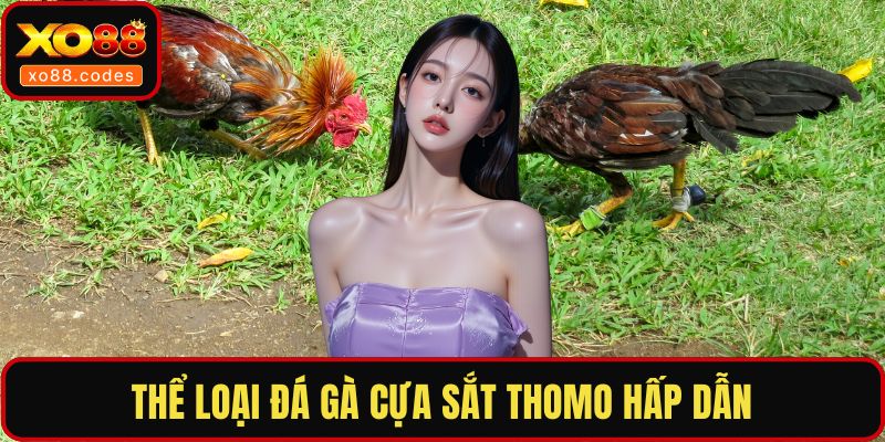 Thể loại đá gà cựa sắt Thomo hấp dẫn